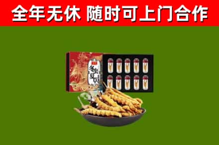 扶余市回收冬虫夏草价格